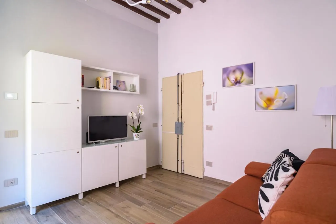 Pisa Art Apartment 0*,