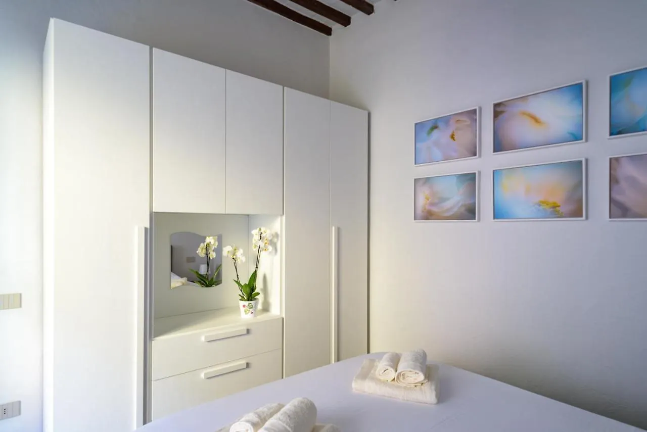 Pisa Art Apartment 0*,